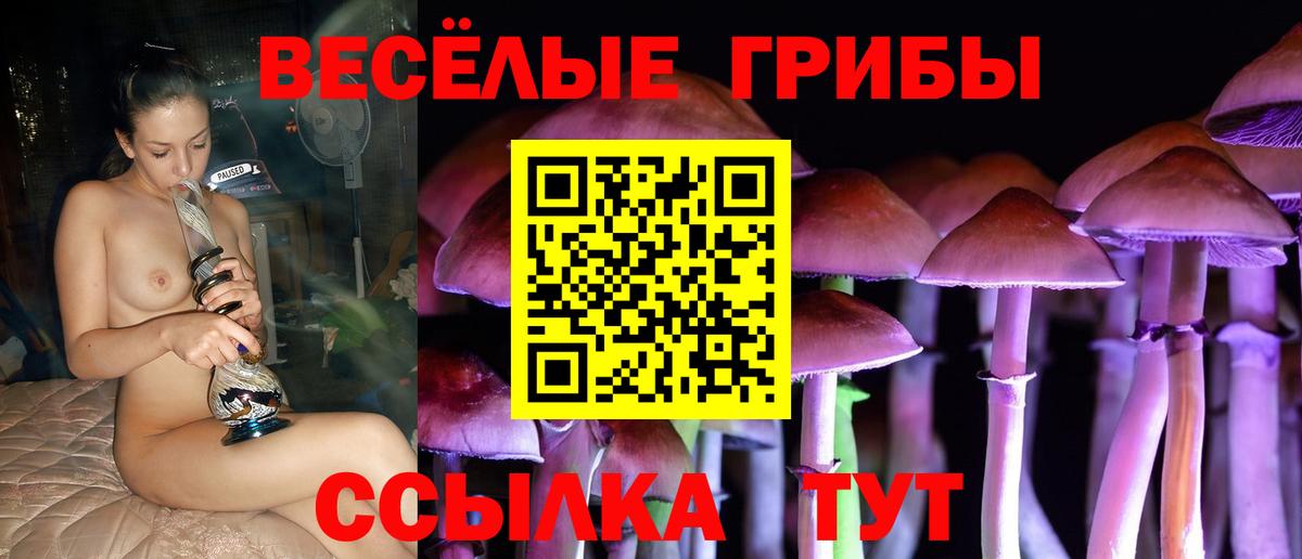 Псилоцибиновые грибы Magic Shrooms Балтийск