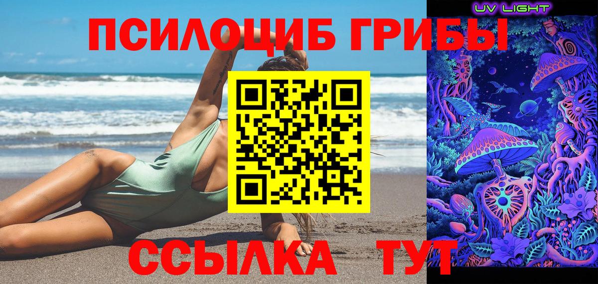 Балтийск  Псилоцибиновые грибы мицелий  Вход с VPN 