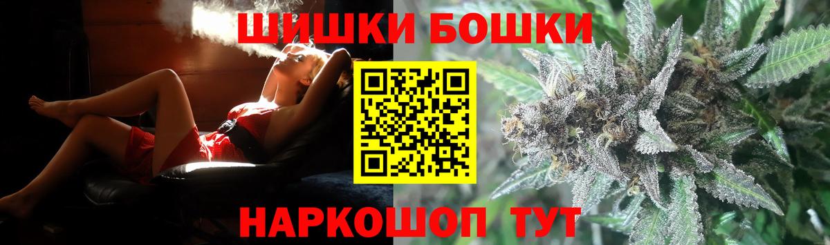 Канабис сатива Балтийск